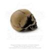 V2 - Figura - Lapillus Worry Skull