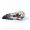 Scrimshaw Ram Skull