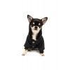 Little Helper Dog Hoodie