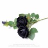 ROSE1. Black Imitation rose