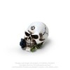 VM6 - Figura Alchemy `Alchemist Skull: Miniture´