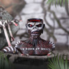 Iron Maiden The Trooper Bust Box (Small) 12cm