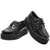 A7757 - Creeper - Ante Negro y 2 anillas