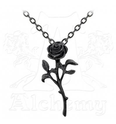 P695 - The Romance Of Black Rose