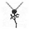 P695 - The Romance Of Black Rose