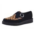 Creepers Pointed